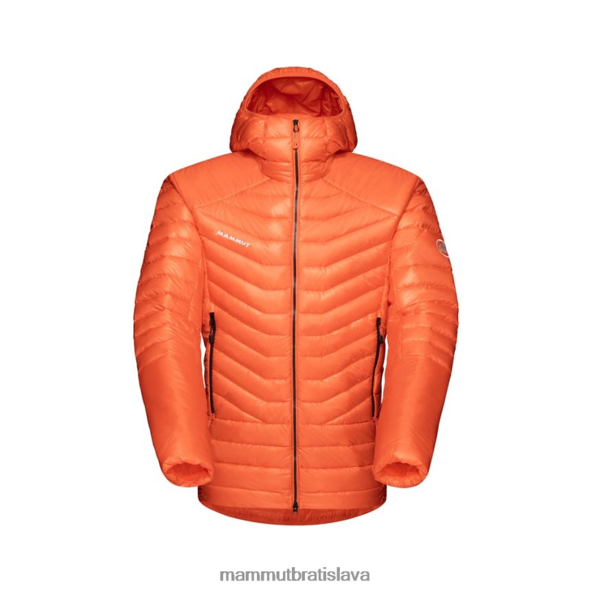sk Mammut oblečenie muži eigerjoch pokročil v bunde s kapucňou arumita T4LB6J764